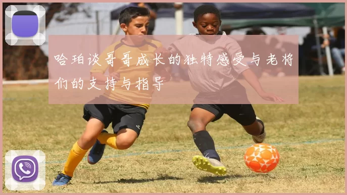 哈珀谈哥哥成长的独特感受与老将们的支持与指导